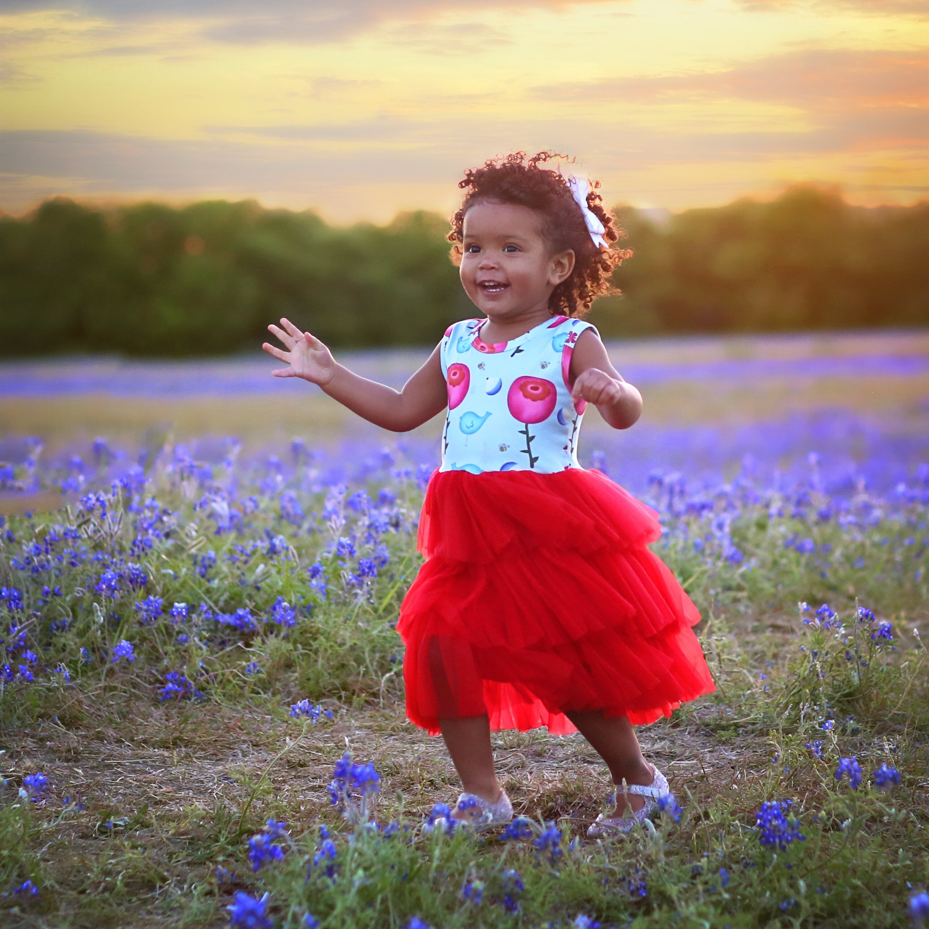 Tutu Dress in Red and Blue Poppies Tutu Dress in Red and Blue Poppies