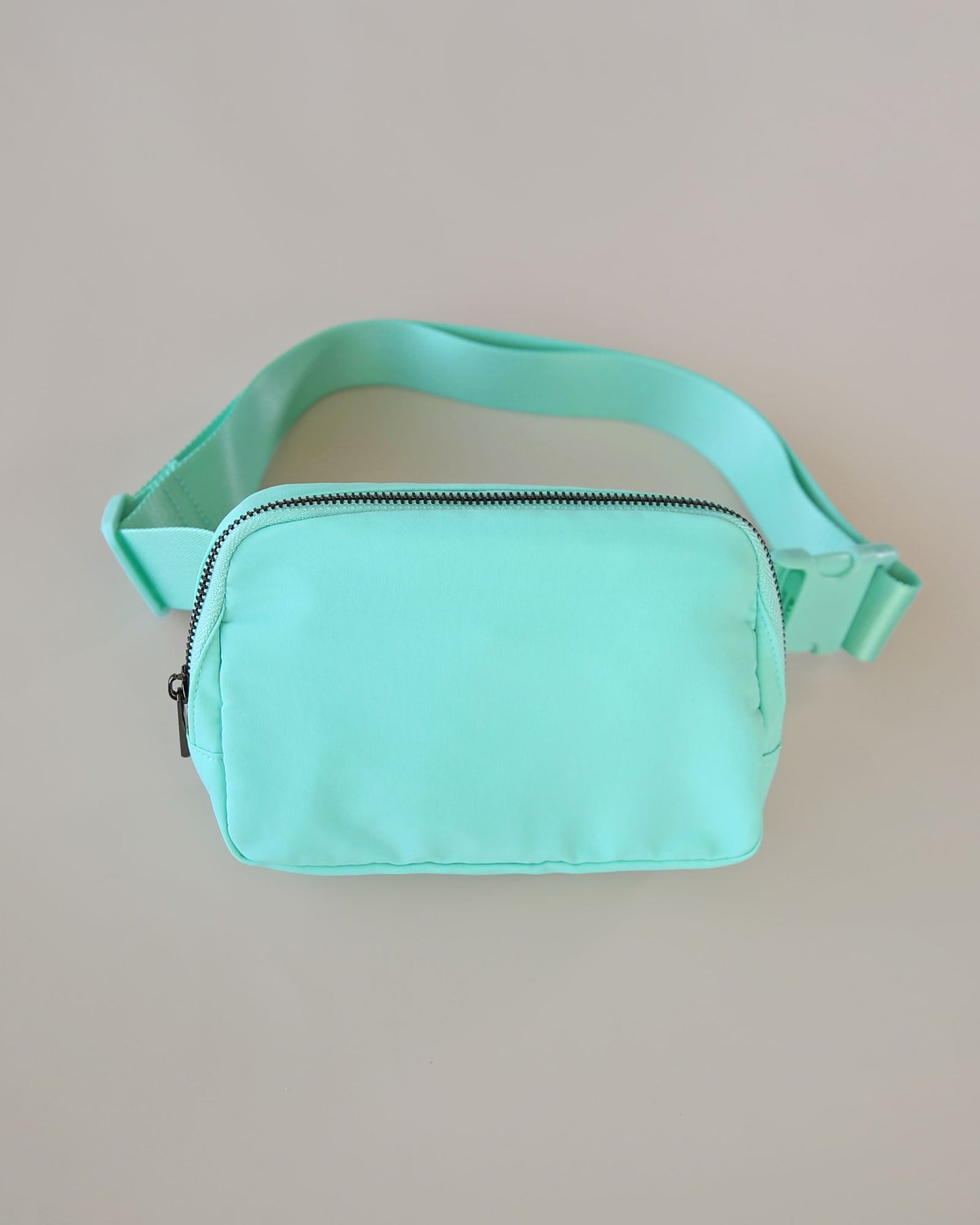 Aqua Belt Bag