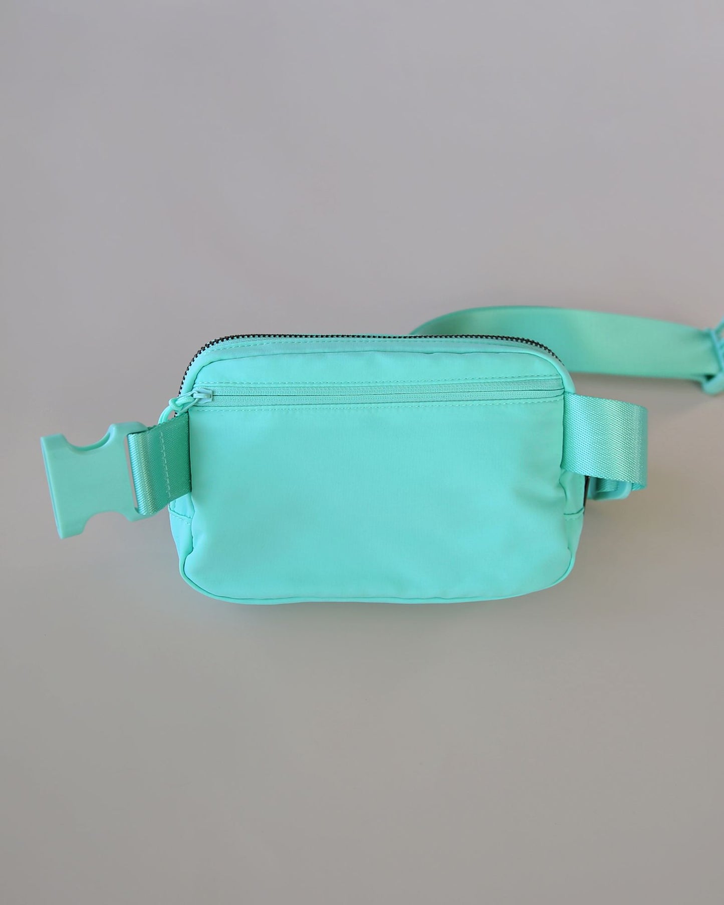 Aqua Belt Bag