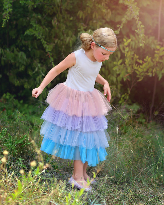Tutu Dress in Pink, Blue and Gray Ombre