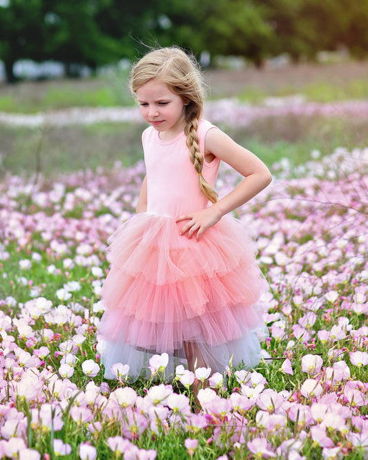 Tutu Dress in Pink Ombre