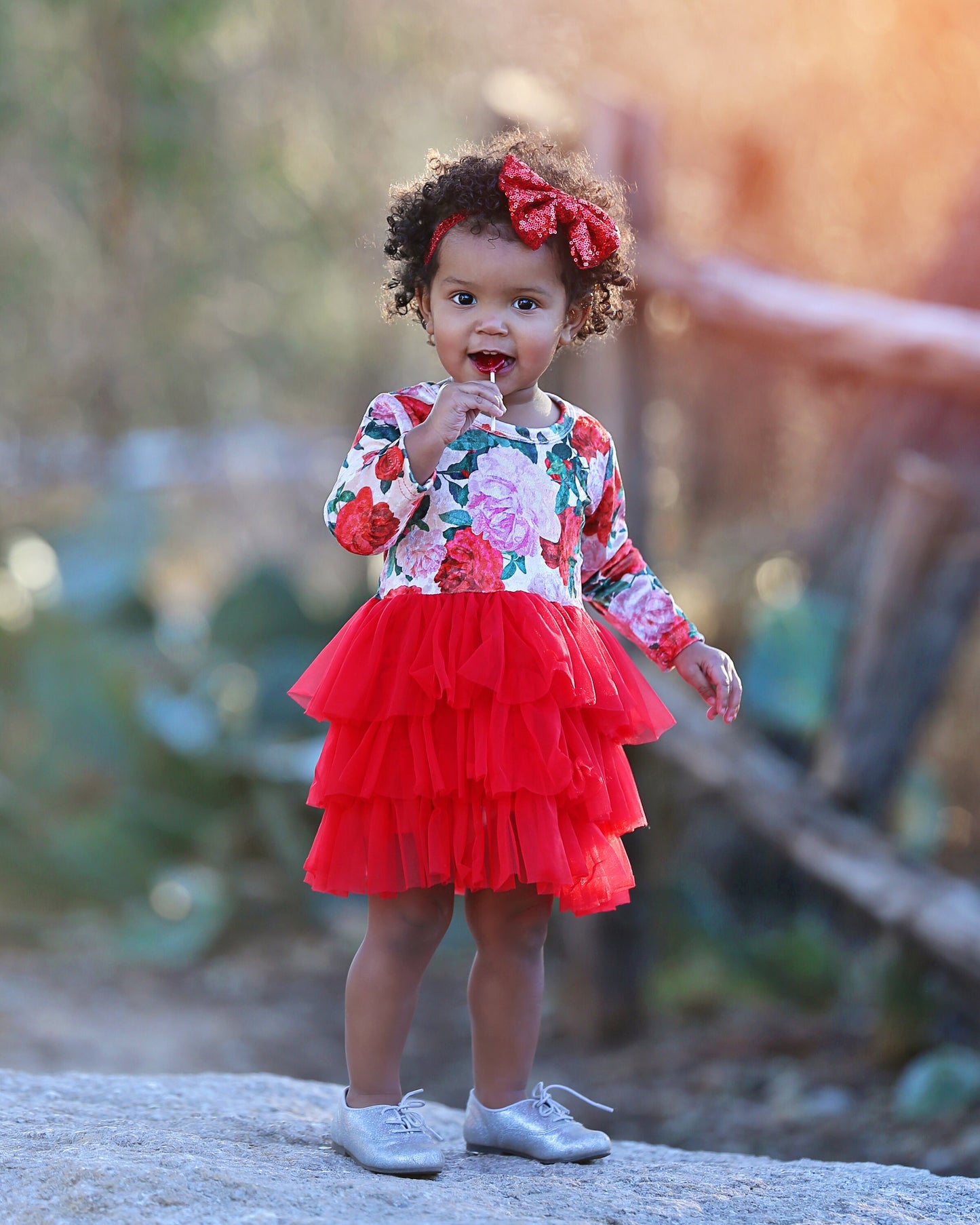 3/4 Sleeve Tutu Dress in Velvet Red Roses