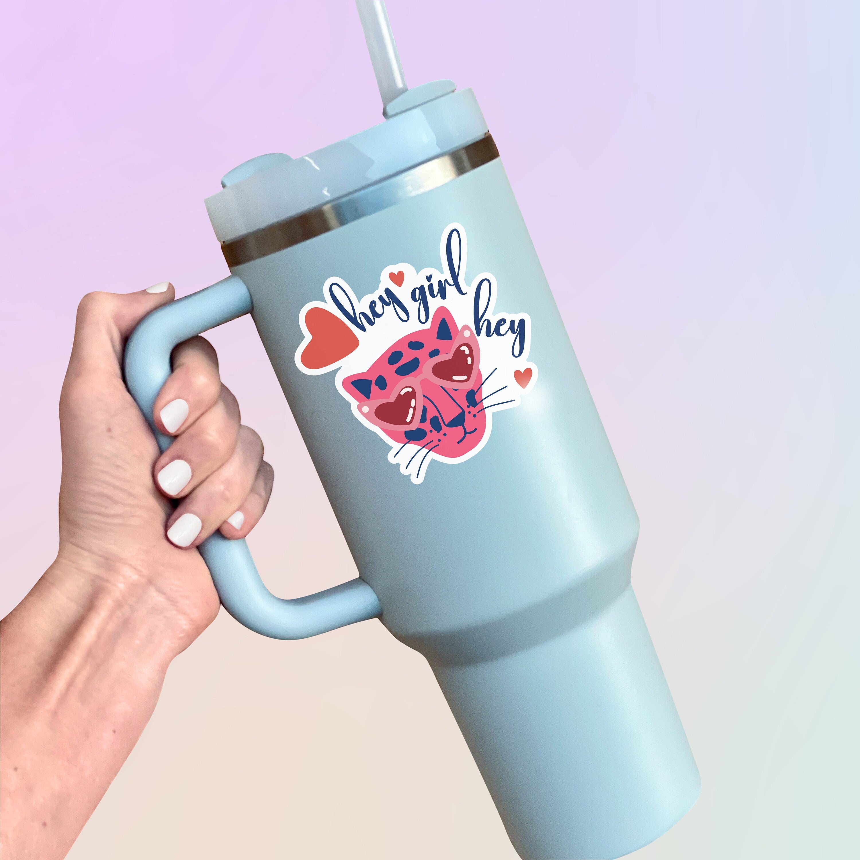 Hey Girl Hey Cat Sticker- Tumbler sticker, decal, laptop sticker, water bottle sticker, cat sticker, sticker, stickers, waterproof, hey girl