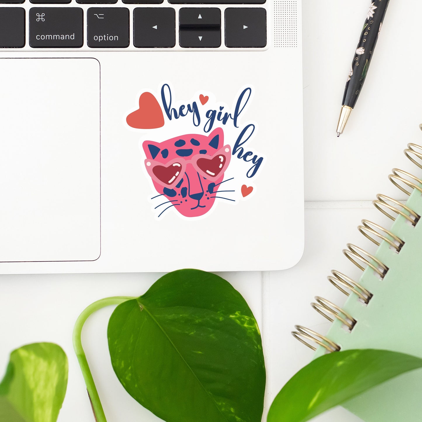 Hey Girl Hey Cat Sticker- Tumbler sticker, decal, laptop sticker, water bottle sticker, cat sticker, sticker, stickers, waterproof, hey girl